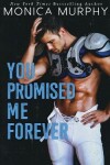 Book cover for You Promised Me Forever