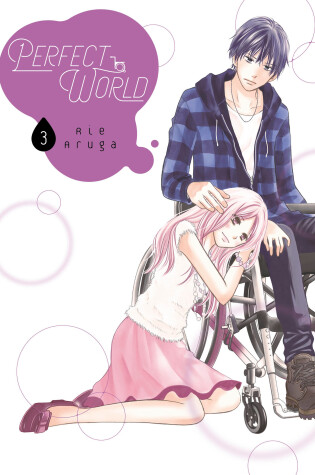 Cover of Perfect World 3