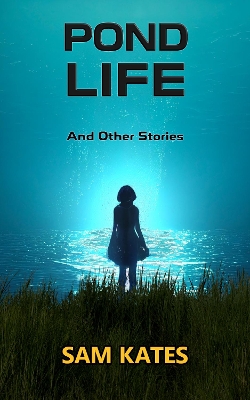 Book cover for Pond Lide and Other Stories