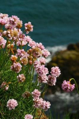 Book cover for Sea Pink Flowers at Bullers of Buchan Scotland Journal