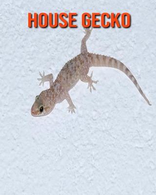 Book cover for House Gecko