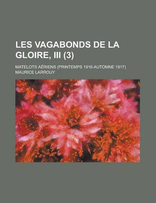 Book cover for Les Vagabonds de La Gloire, III; Matelots Aeriens (Printemps 1916-Automne 1917) (3)