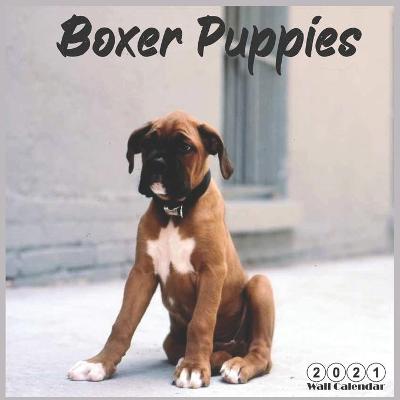Book cover for Boxer Puppies 2021 Wall Calendar