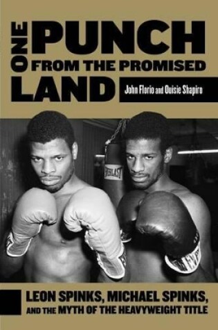 Cover of One Punch from the Promised Land