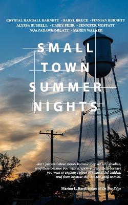 Book cover for Small Town Summer Nights