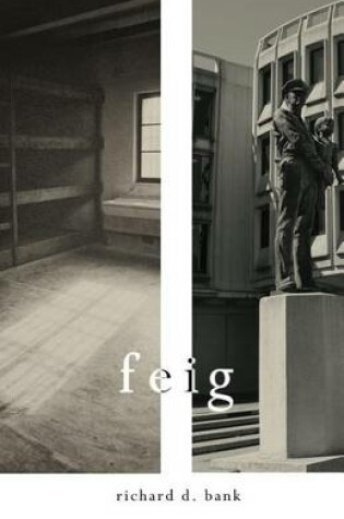 Cover of Feig