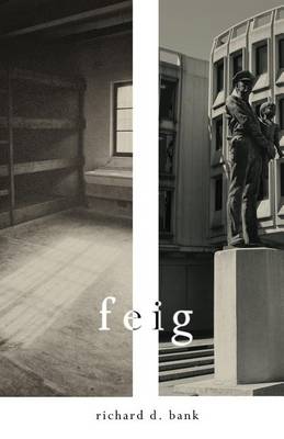 Book cover for Feig