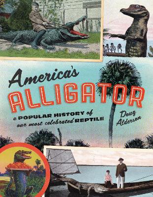 Book cover for America's Alligator