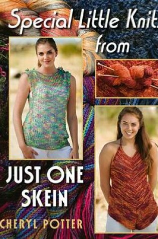 Cover of Special Little Knits from Just One Skein