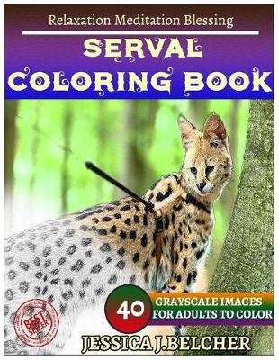 Book cover for Serval Coloring Books