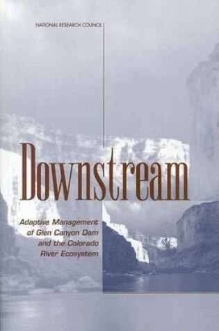 Cover of Downstream