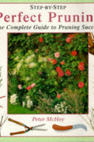 Cover of Perfect Pruning
