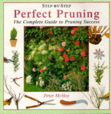 Cover of Perfect Pruning