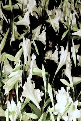 Book cover for Floral Journal Scattered White Lilies