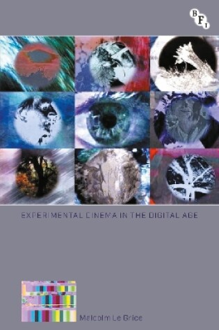 Cover of Experimental Cinema in the Digital Age