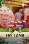 Book cover for Christmas Under Wraps