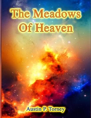 Book cover for The Meadows of Heaven