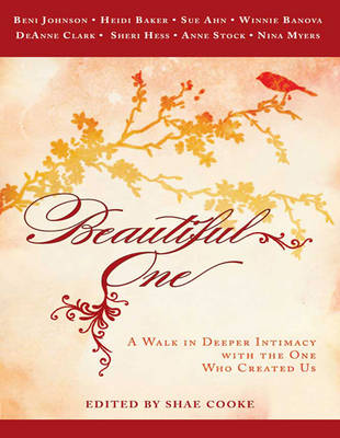 Book cover for Beautiful One
