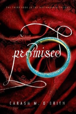 Book cover for Promised