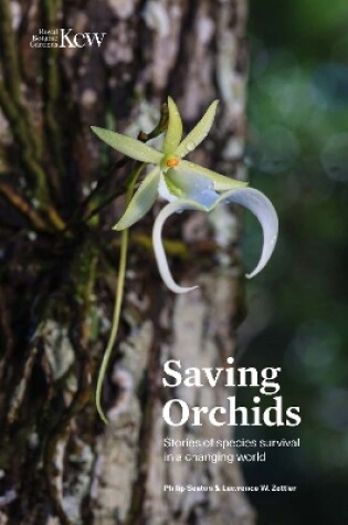 Cover of Saving Orchids