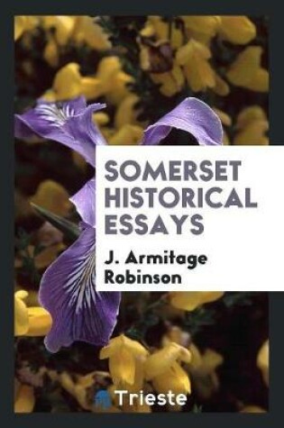 Cover of Somerset Historical Essays