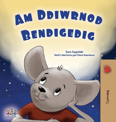 Book cover for A Wonderful Day (Welsh Book for Children)