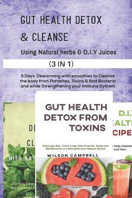 Book cover for Gut Health Detox & Cleanse Using Natural Herbs and D.I.Y Juices