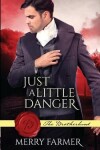 Book cover for Just a Little Danger