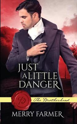 Book cover for Just a Little Danger