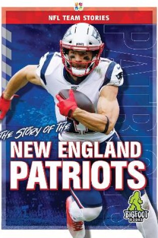 Cover of The Story of the New England Patrio