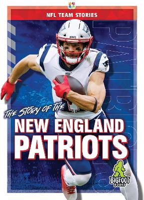 Cover of The Story of the New England Patrio