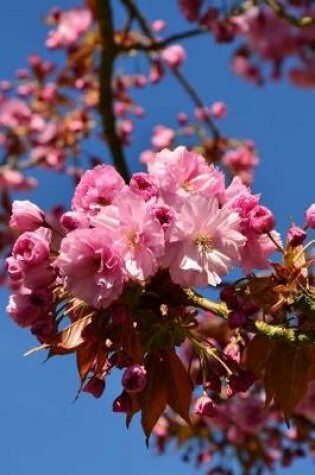 Cover of Cherry Blossoms in California Journal