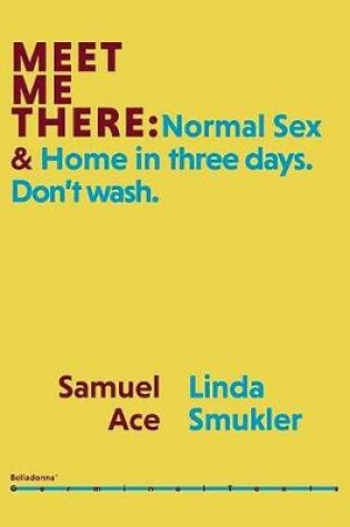 Cover of Meet Me There: Normal Sex & Home in Three Days. Don't Wash.