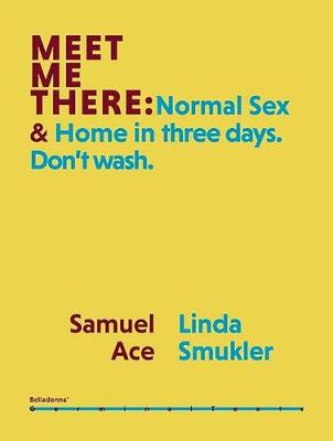 Book cover for Meet Me There: Normal Sex & Home in Three Days. Don't Wash.