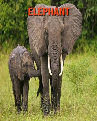 Book cover for Elephant