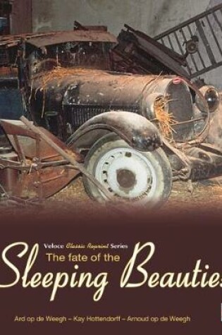 Cover of The Fate of the Sleeping Beauties