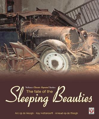 Book cover for The Fate of the Sleeping Beauties