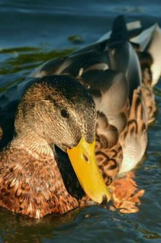 Cover of Female Mallard on the Pond, Birds of the World