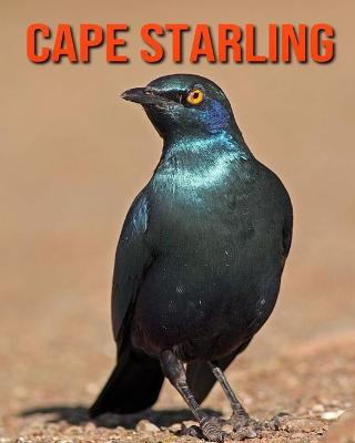 Book cover for Cape Starling