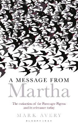 Book cover for A Message from Martha