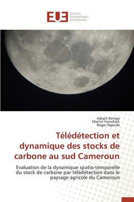 Cover of Teledetection Et Dynamique Des Stocks de Carbone Au Sud Cameroun