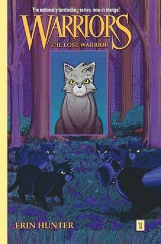 Cover of The Lost Warrior