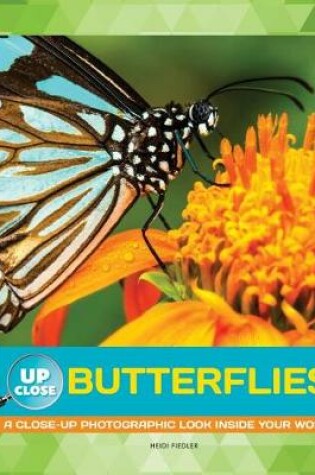 Cover of Butterflies