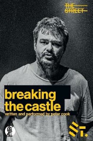 Cover of Breaking the Castle