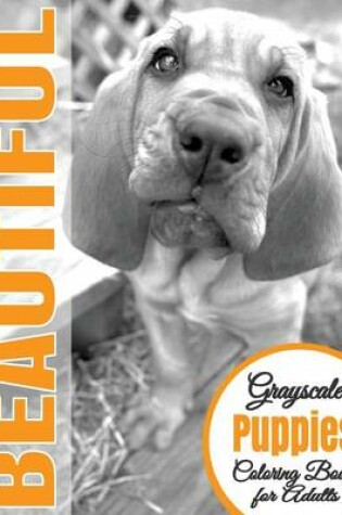 Cover of Beautiful Grayscale Puppies Adult Coloring Book