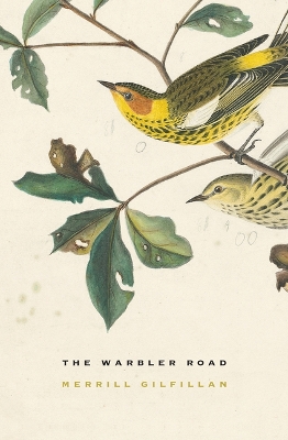 Book cover for The Warbler Road