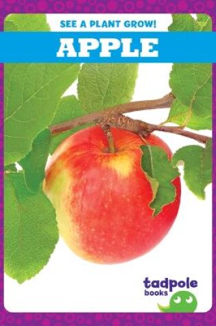 Cover of Apple