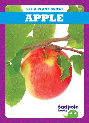 Cover of Apple