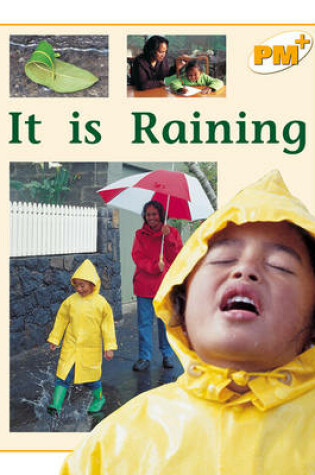 Cover of It is Raining