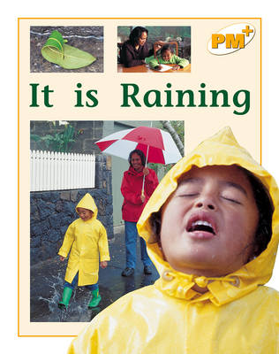 Book cover for It is Raining